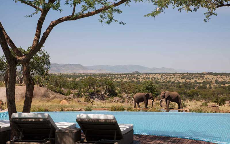Luxury Safaris