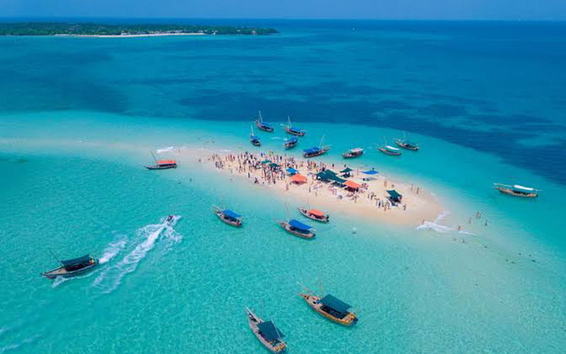Zanzibar Safaris