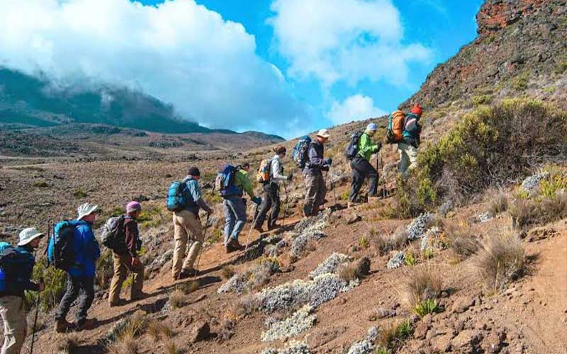 Hiking & Trekking
