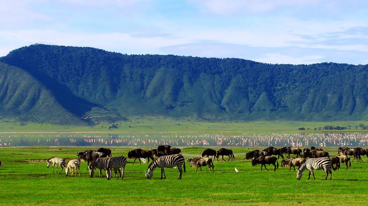 Ngorongoro safari sunset