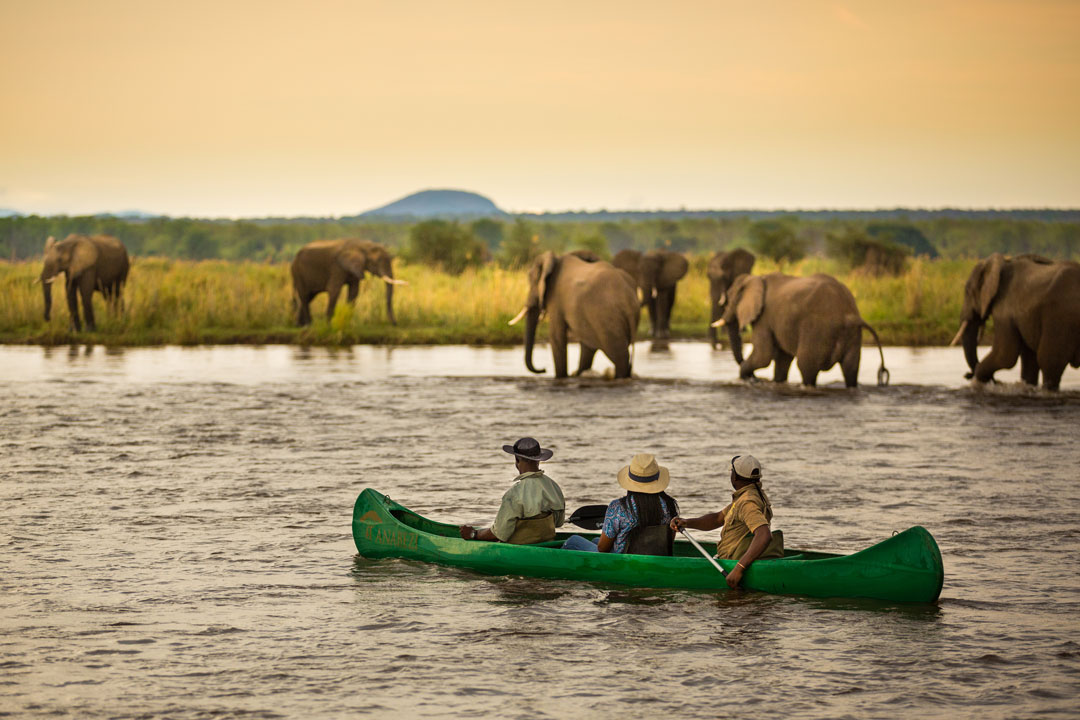 Canoeing Safari