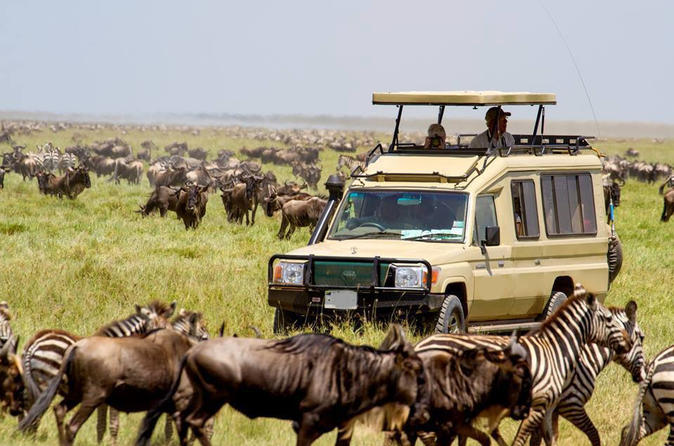 Safari game drive in the Serengeti