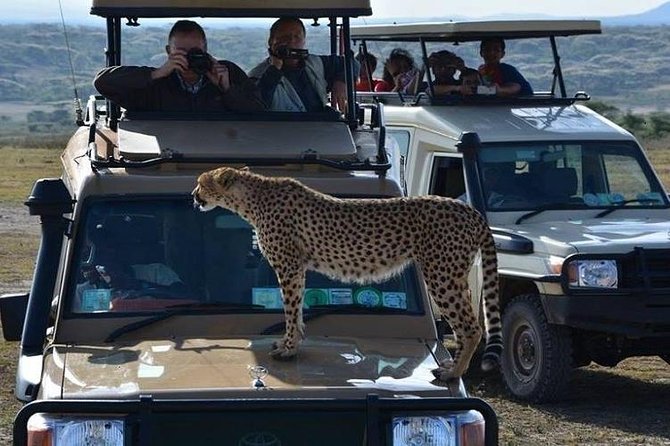 Lake Manyara activities