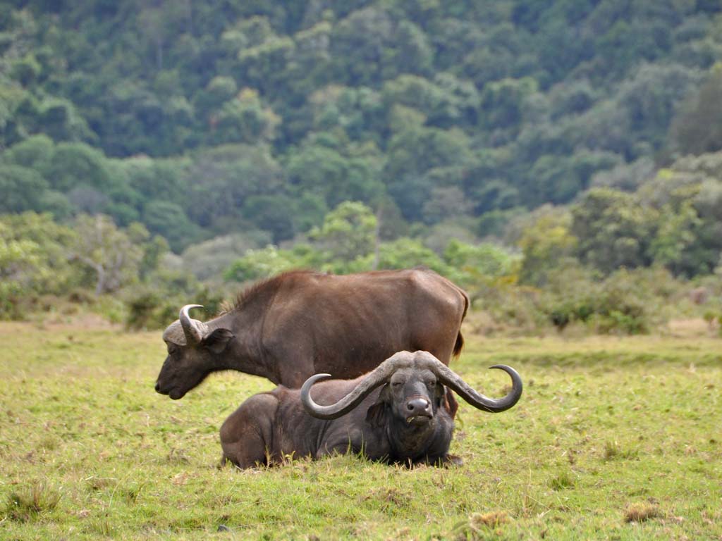 Arusha National Park sunset