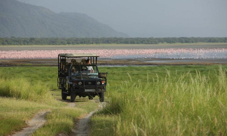 Lake Manyara game drive