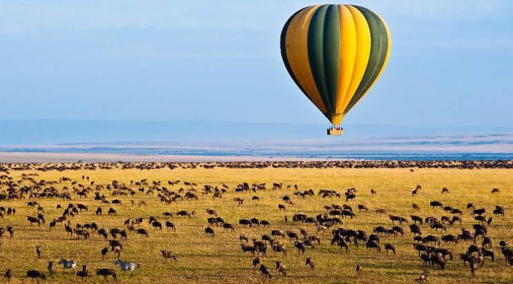 Hot air balloon above Serengeti