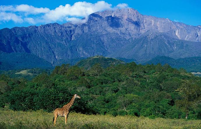 Mount Meru Arusha National Park