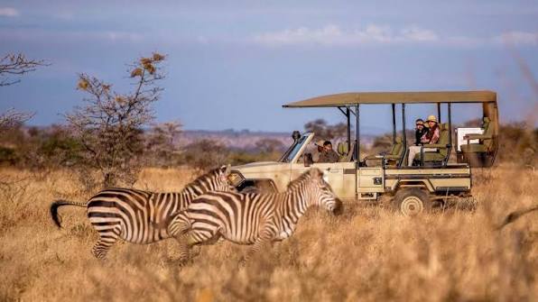 Mikumi safari experiences