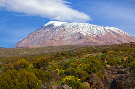 6-Day Mount Kilimanjaro Machame Route