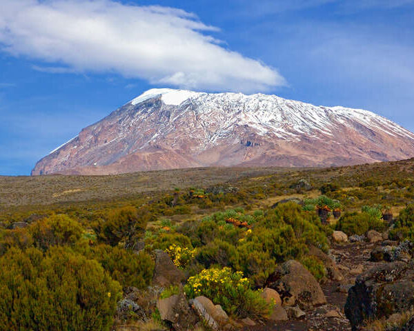 6-Day Mount Kilimanjaro Machame Route